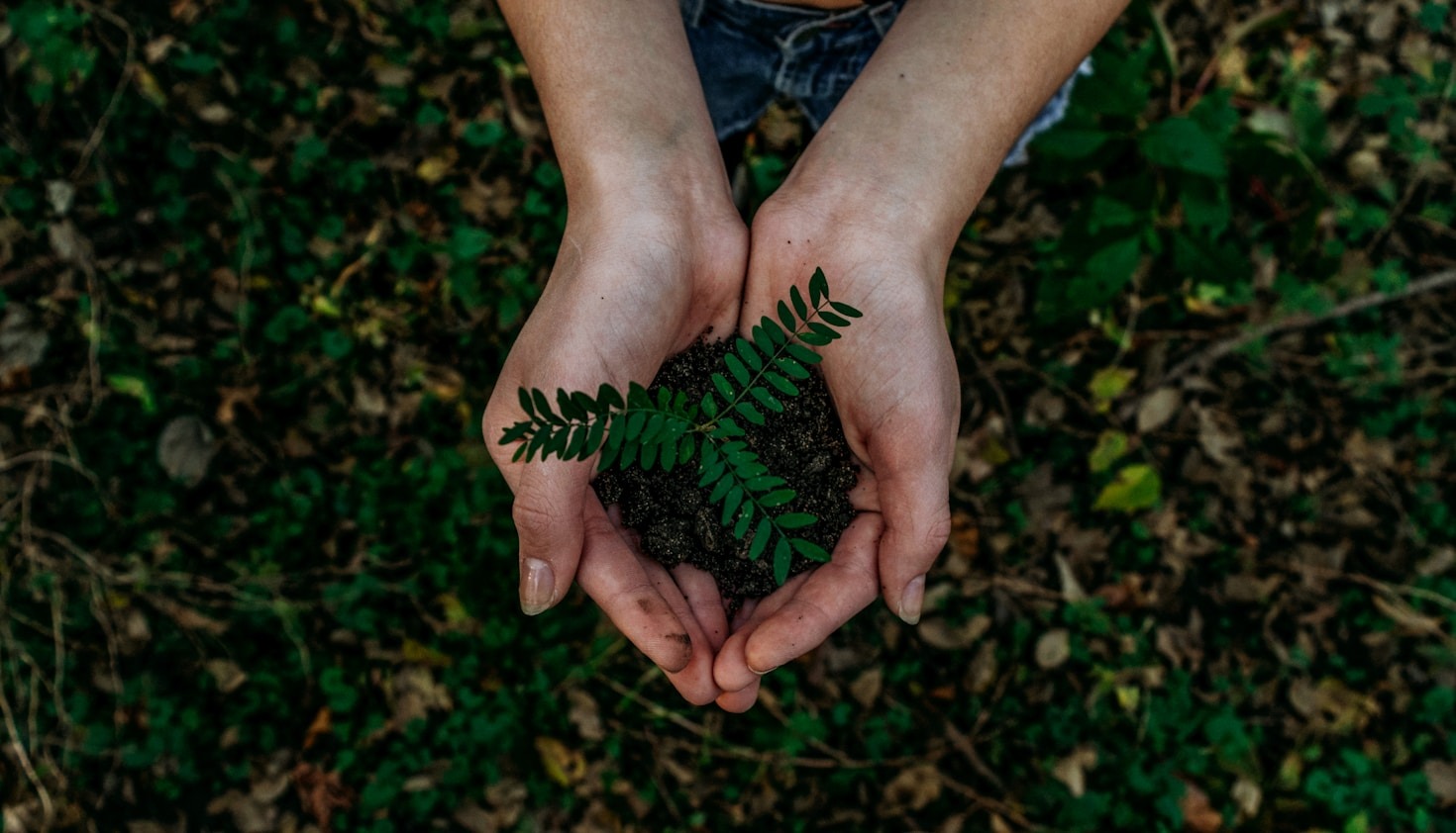 10 tips til at undgå greenwashing